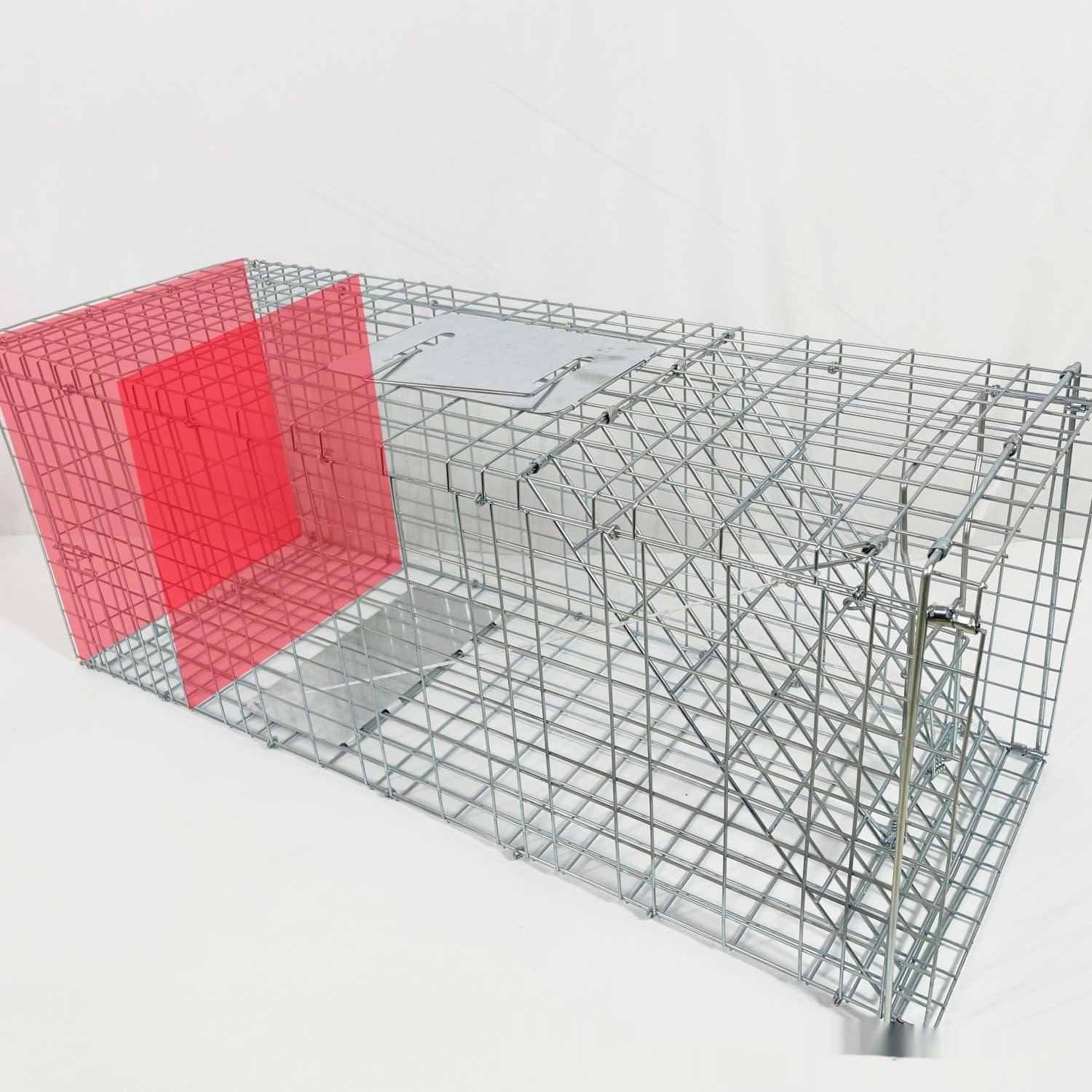 Fully Automatic Cat-trap Cage