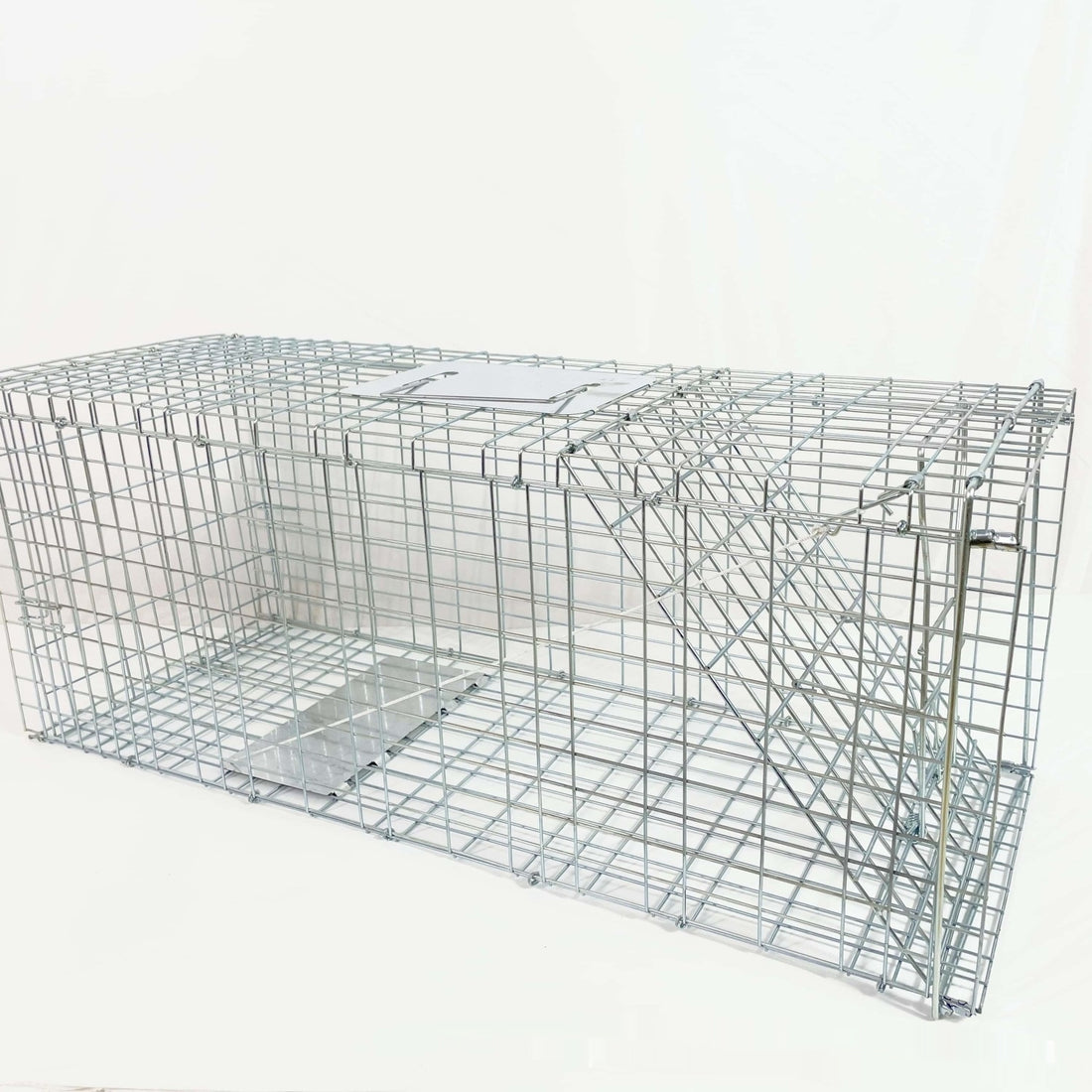 Fully Automatic Cat-trap Cage