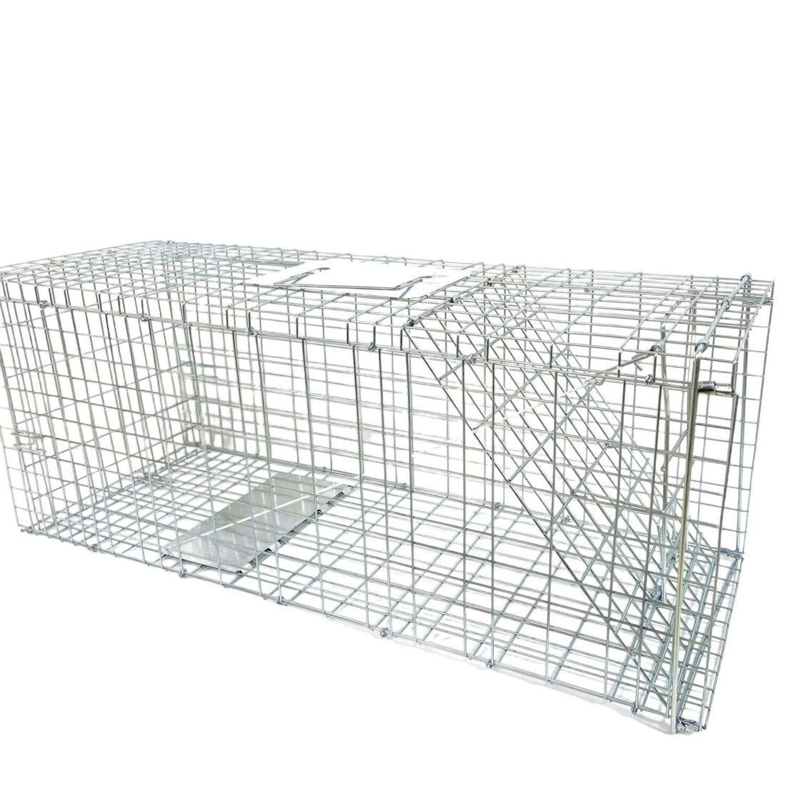 Fully Automatic Cat-trap Cage